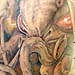 tattoo galleries/ - FREEHAND OCTOPUSS